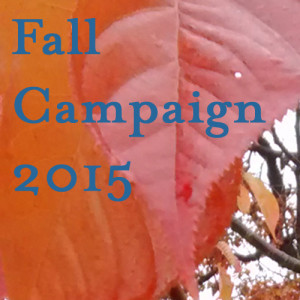 Fall Campaign Pic