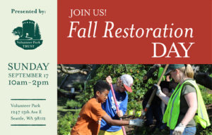 Fall Restoration Day in Volunteer Park