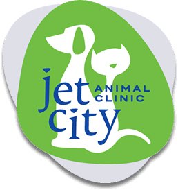 Jet City Animal Clinic