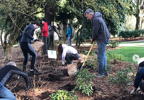 Daffodil and Tulip Bulbs Planted for a Colorful Spring - Volunteer Park  Trust