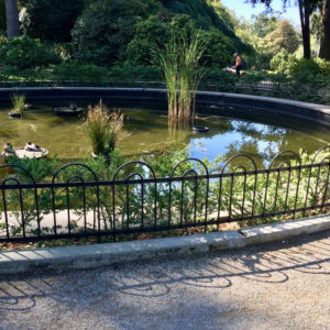 Design & Install New Lily Pond Fencing