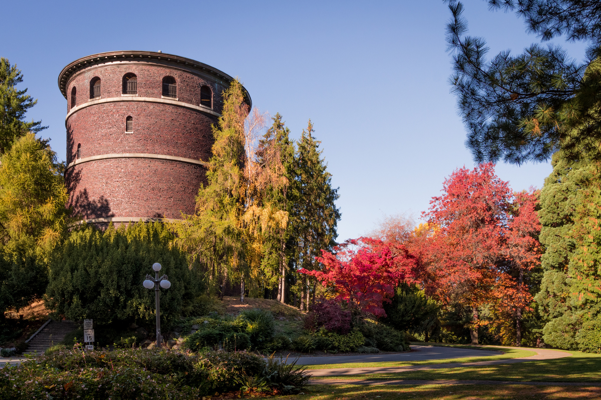 Volunteer Park