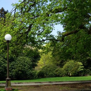 Volunteer Park Lamp Globe