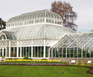 Volunteer Park Conservatory – Family Saturday