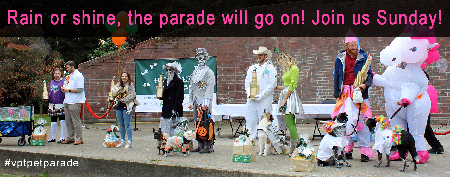 Pet Parade 