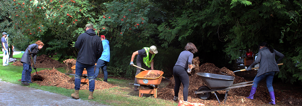 Fall Restoration Day!