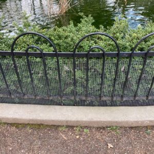 Lily Pond Fencing Mesh