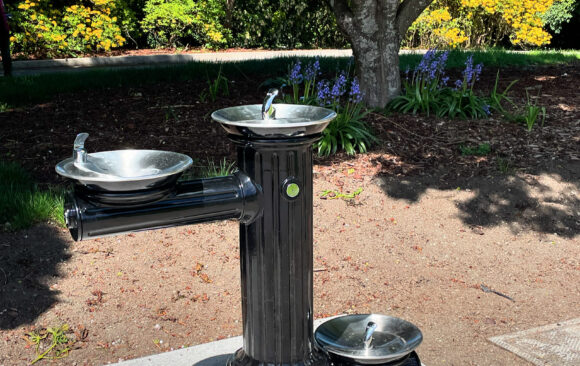 New Drinking Fountain in Volunteer Park!